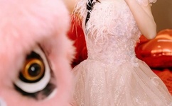 金贤重辽宁春晚